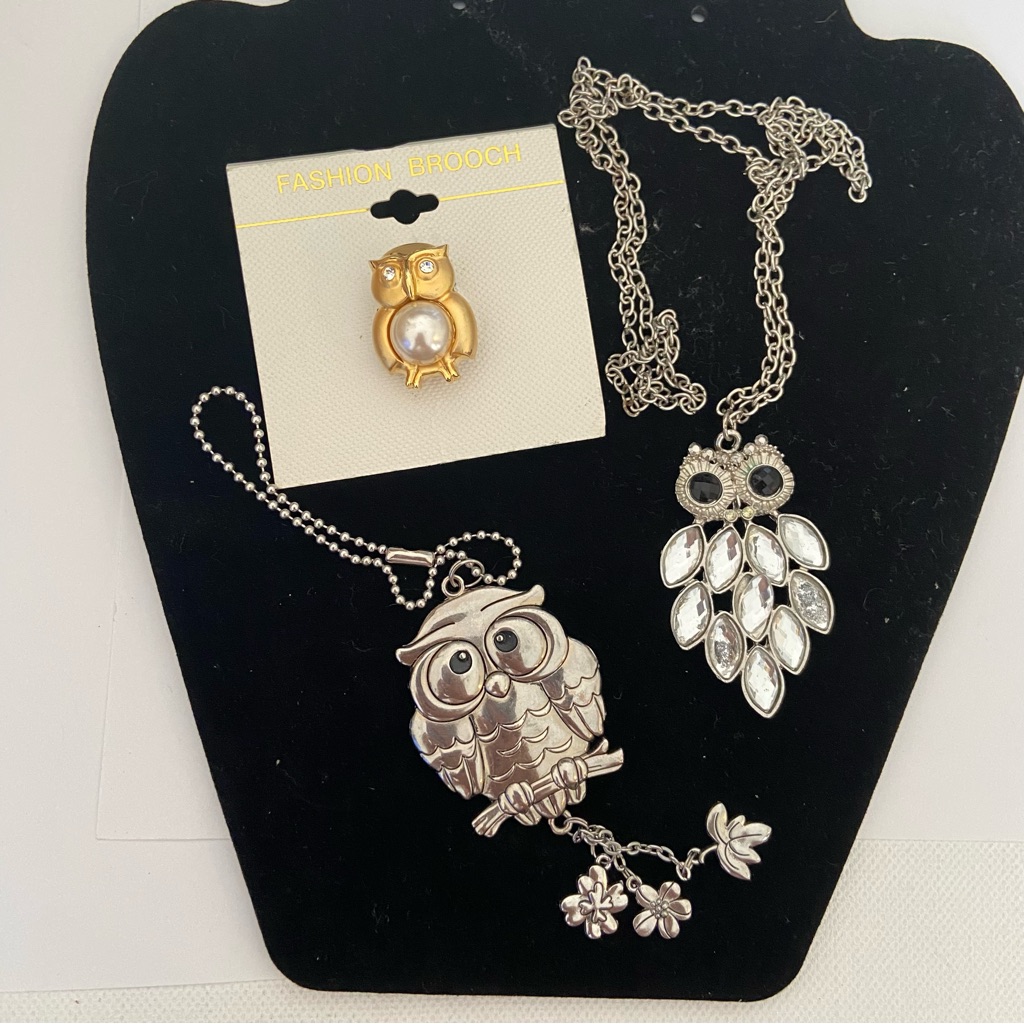 Bundle Of Owl Jewelry Silver Tone Necklace And Keychain Gold Tone Brooch 12$